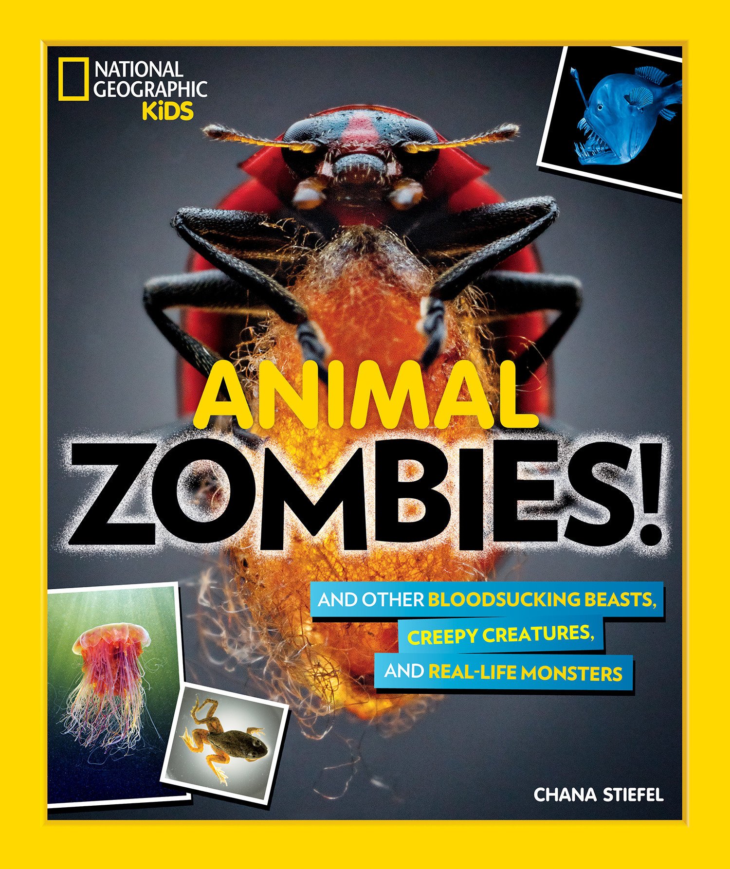 celebrate-picture-books-picture-book-review-animal-zombies-cover