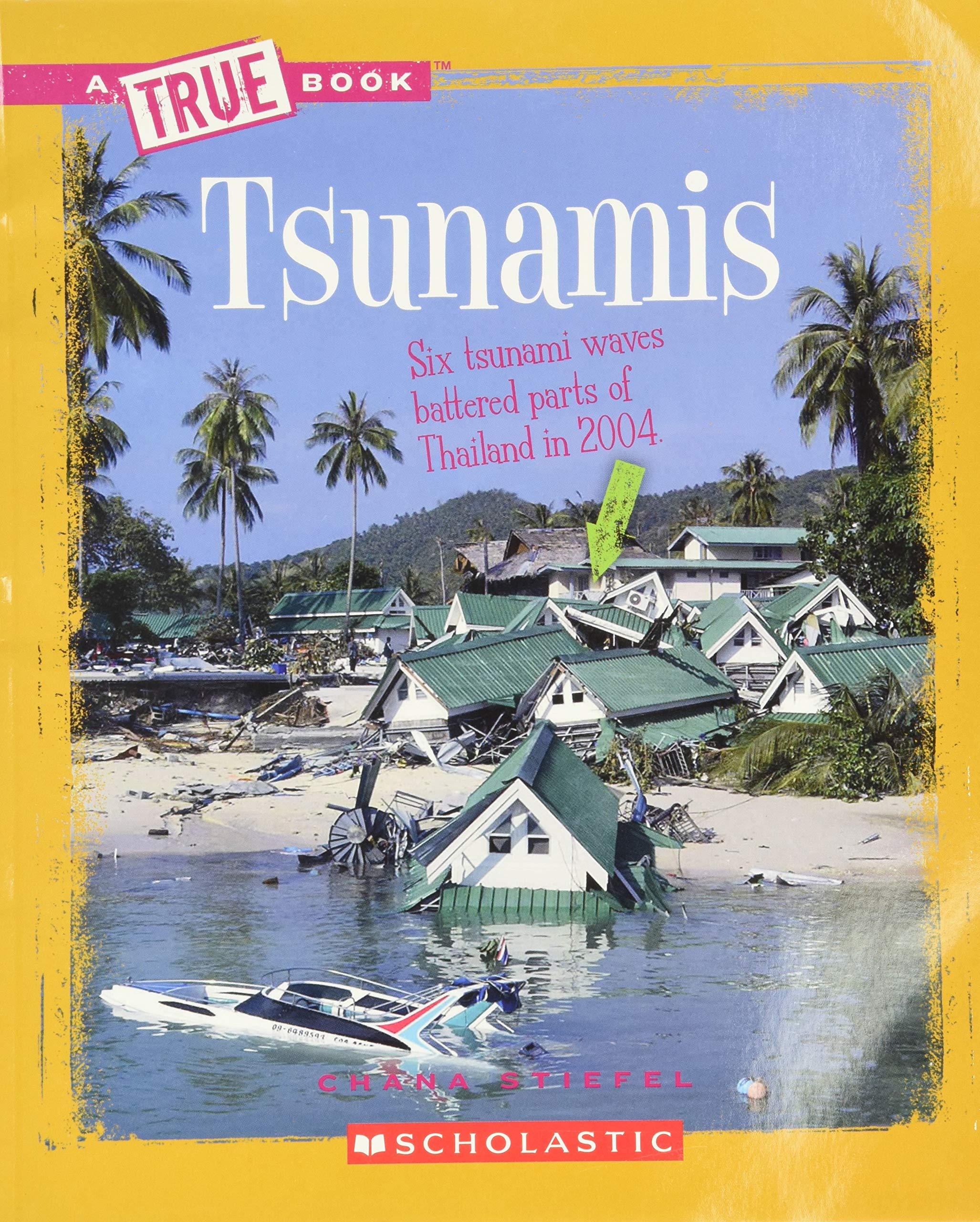 celebrate-picture-books-picture-book-review-tsunamis-cover