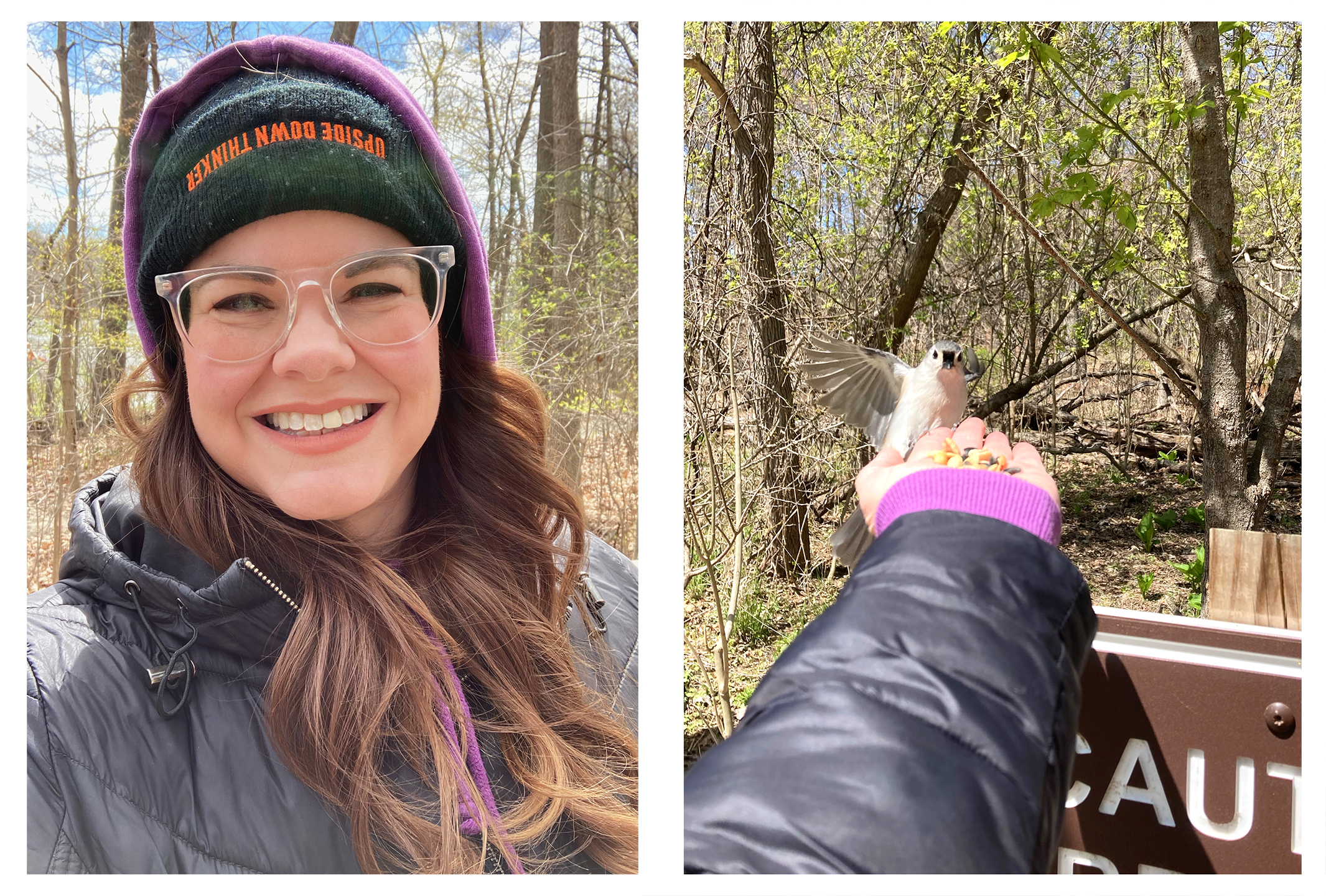 celebrate-picture-books-picture-book-review-May-and-titmouse