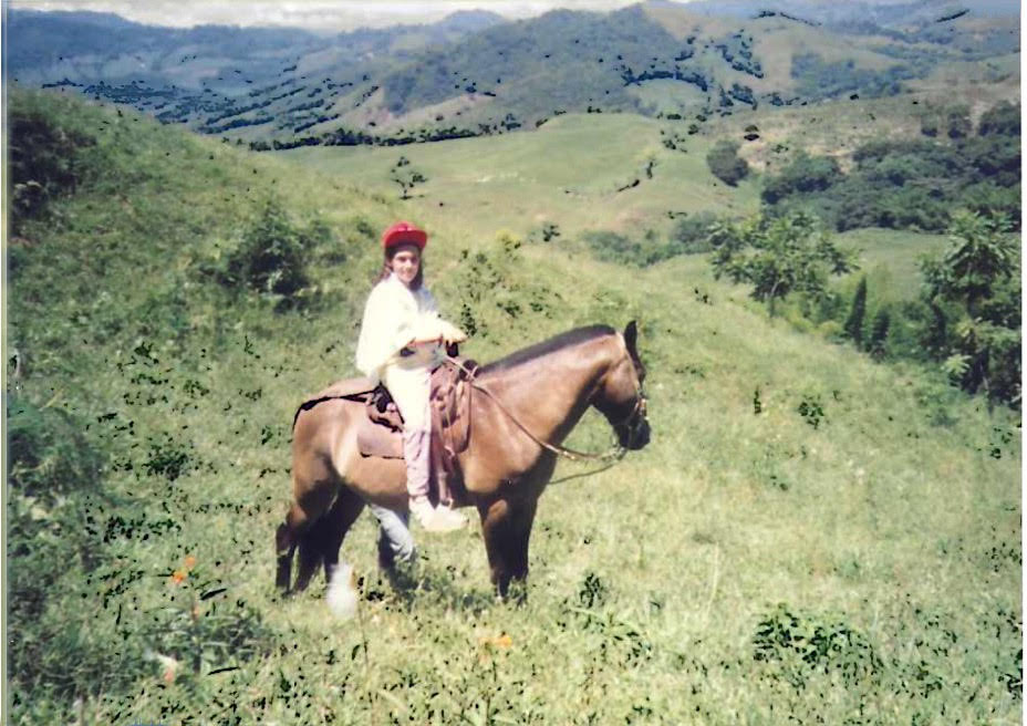 celebrate-picture-books-picture-book-review-Alexandra-Alessandri-interview