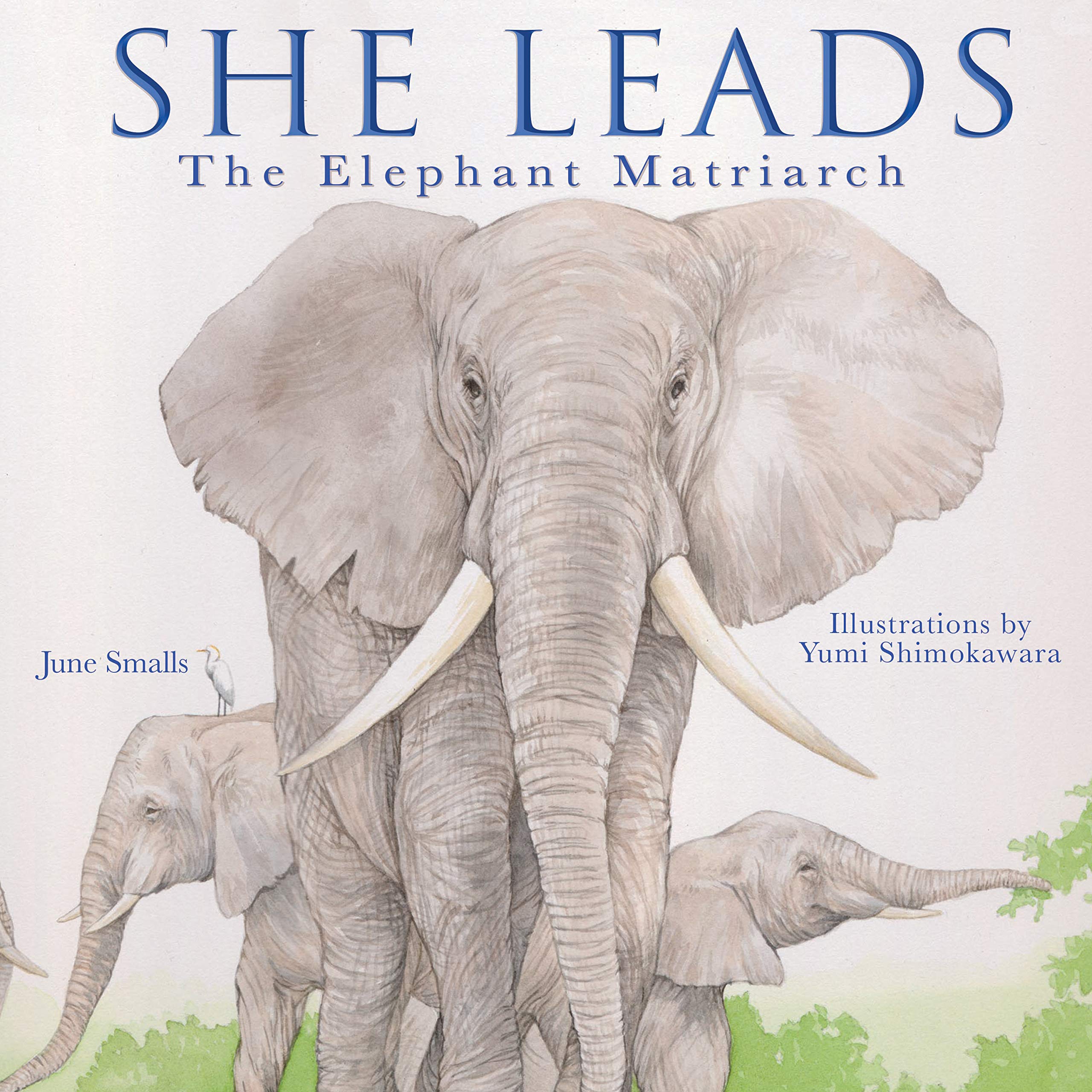 celebrate-picture-books-picture-book-review-she-leads-cover