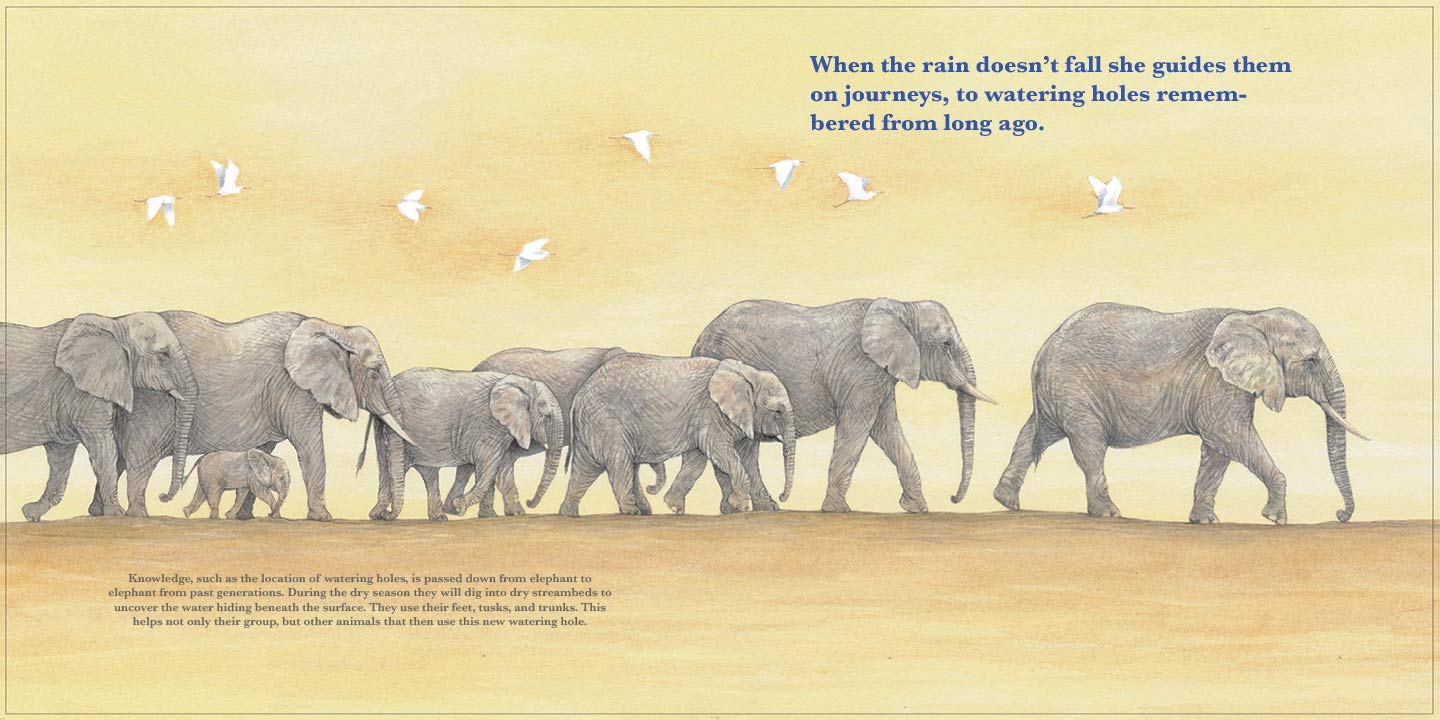 celebrate-picture-books-picture-book-review-she-leads-rain