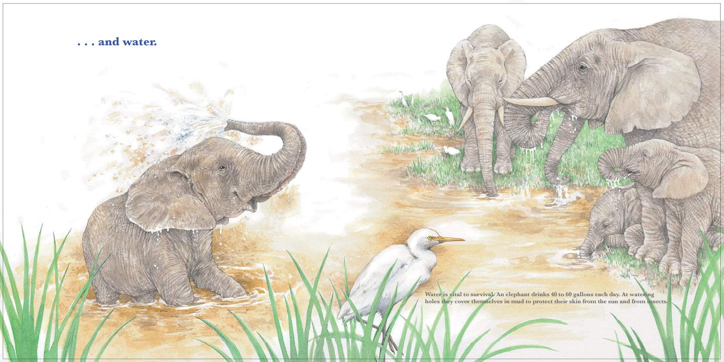 celebrate-picture-books-picture-book-review-she-leads-water