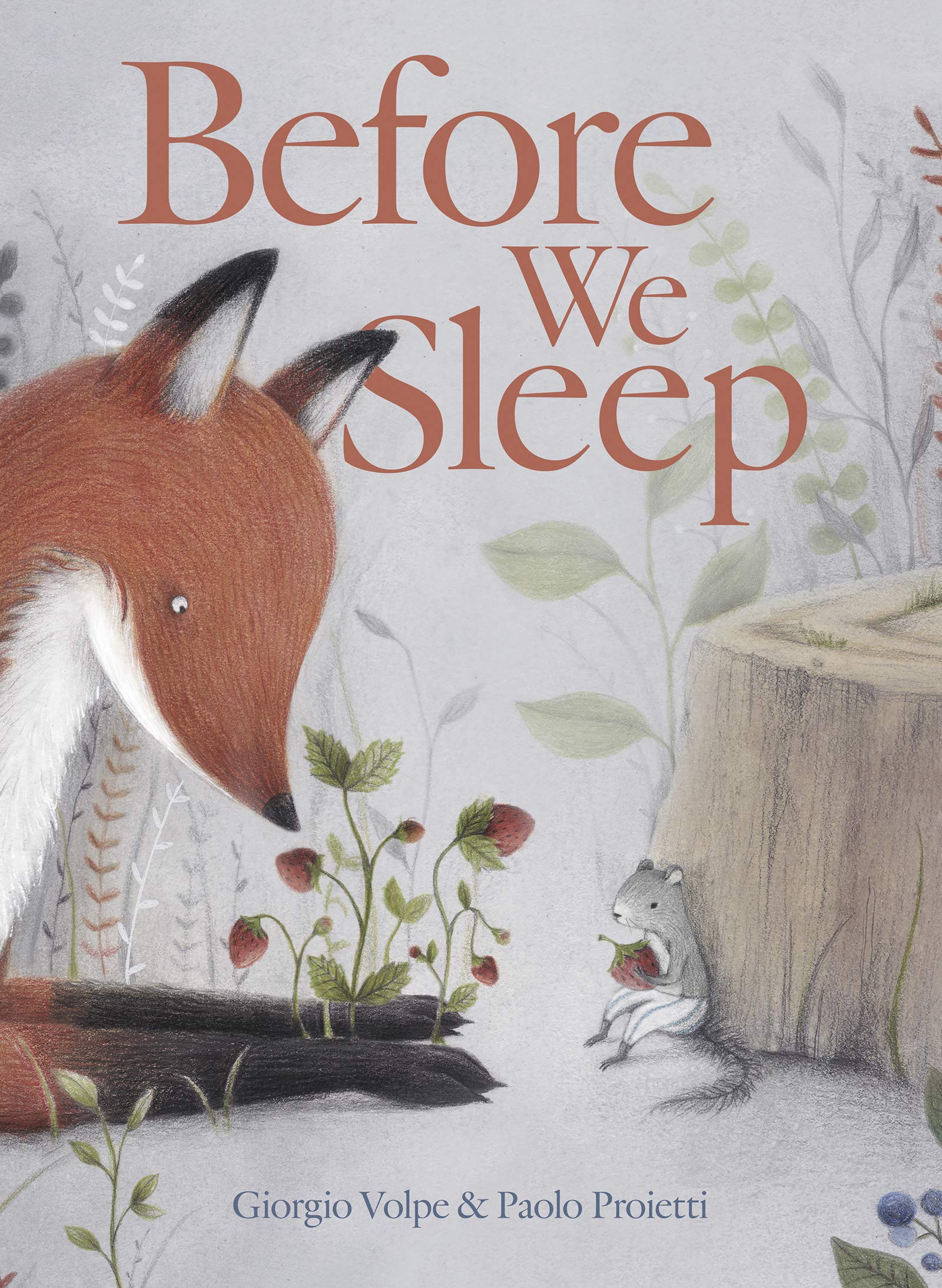 celebrate-picture-books-picture-book-review-before-we-sleep-cover