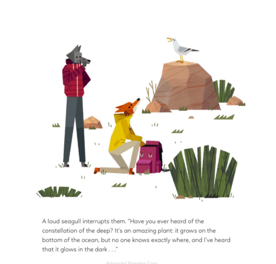 celebrate-picture-books-picture-book-review-constellation-of-the-deep-seagull