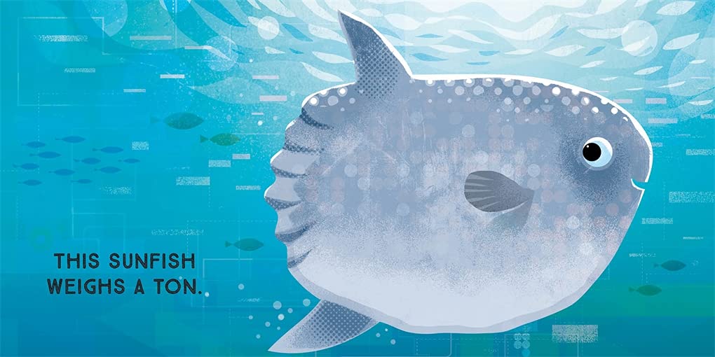 celebrate-picture-books-picture-book-review-odd-beasts-sunfish