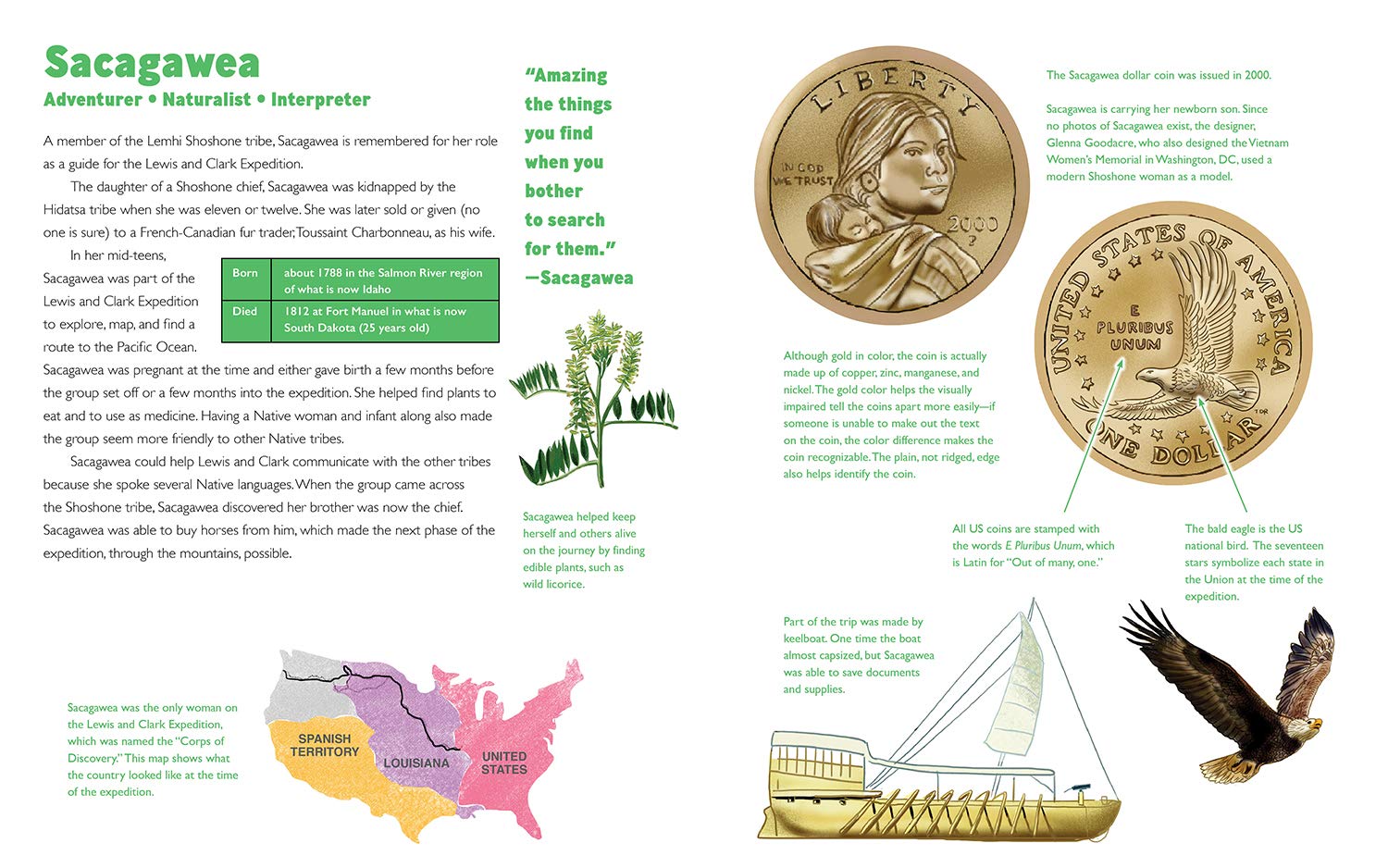 celebrate-picture-books-picture-book-review-she's-on-the-money-sacagawea