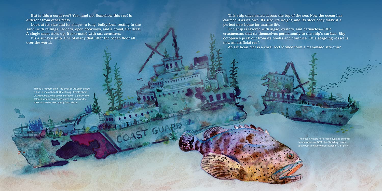 celebrate-picture-books-picture-book-review-shipwreck-reefs-coast-guard