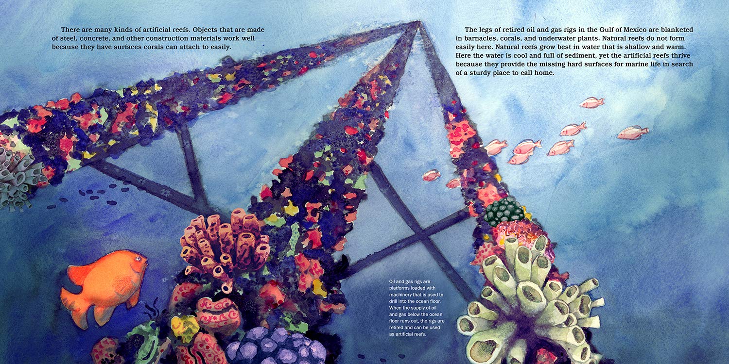 celebrate-picture-books-picture-book-review-shipwreck-reefs-oil-rig
