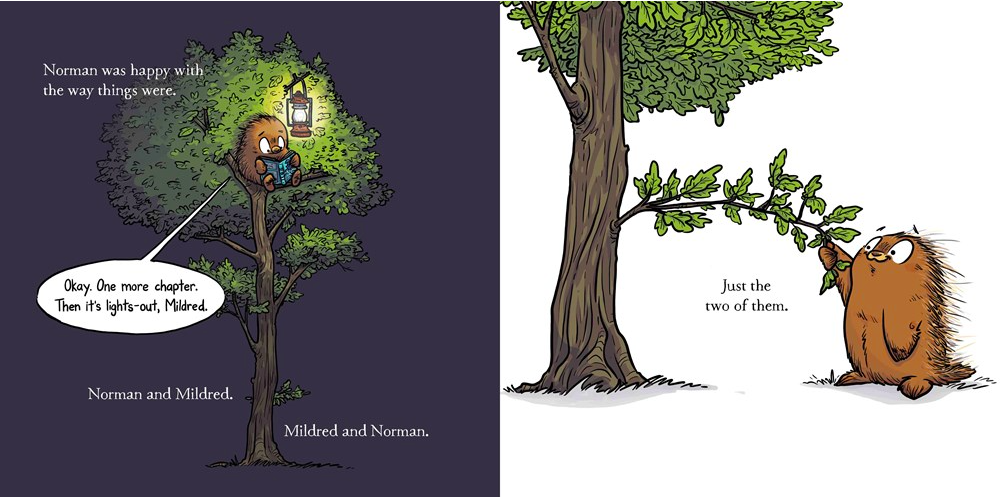 celebrate-picture-books-picture-book-review-norman-didn't-do-it-reading