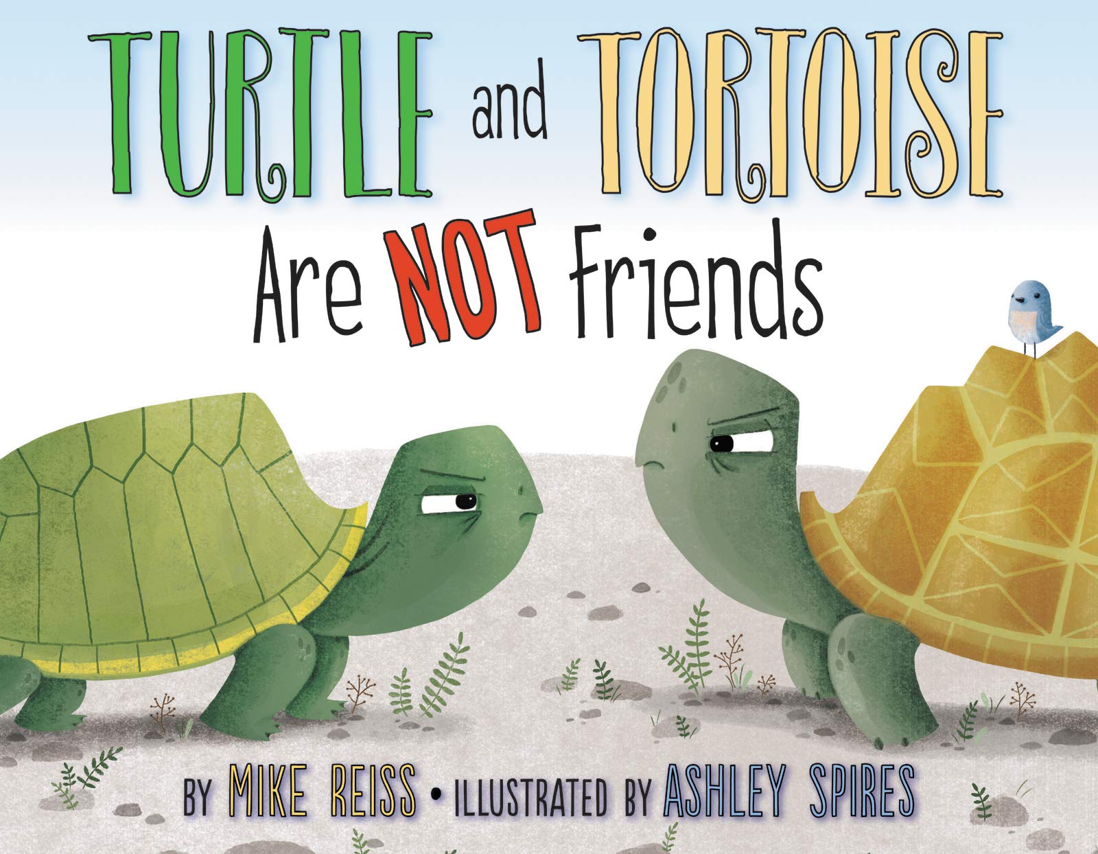 celebrate-picture-books-picture-book-review-turtle-and-tortoise-are-not-friends-cover