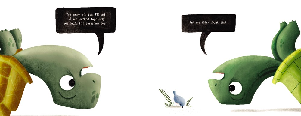 celebrate-picture-books-picture-book-review-turtle-and-tortoise-are-not-friends-on-backs