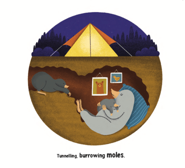 celebrate-picture-books-picture-book-review-wild-about-camping-sleeping-2