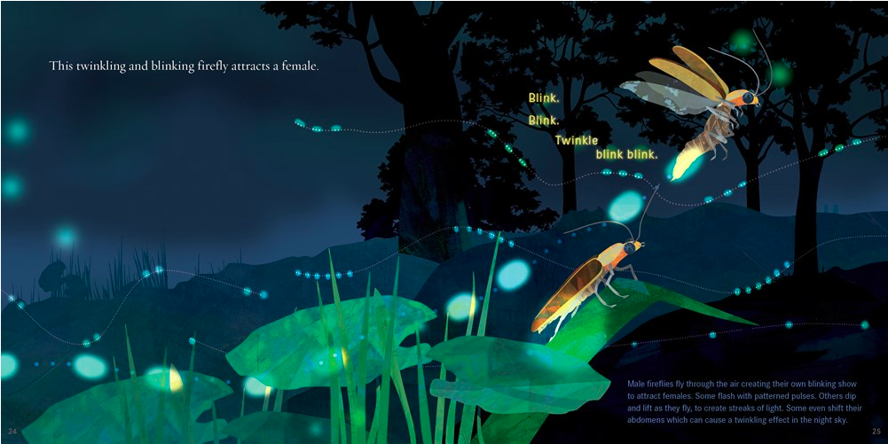 celebrate-picture-books-picture-book-review-light-the-sky-firefly-blink-blink