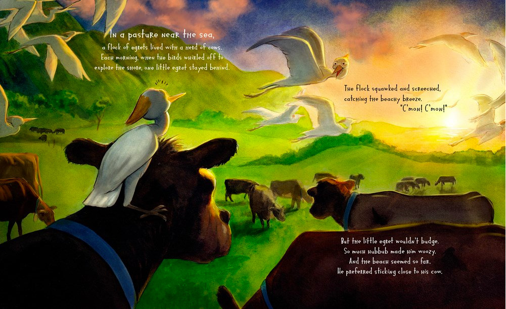 celebrate-picture-books-picture-book-review-where's-my-cow-morning