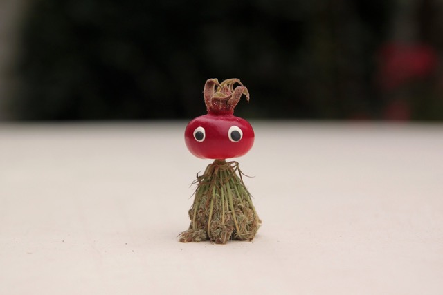 celebrate-picture-books-picture-book-review-Sabine-Timm-interview-radish