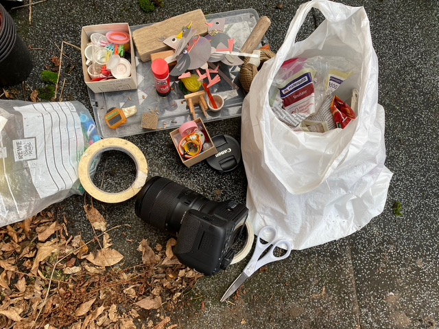 celebrate-picture-books-picture-book-review-Sabine-Timm-interview-tools-for-fred-pages