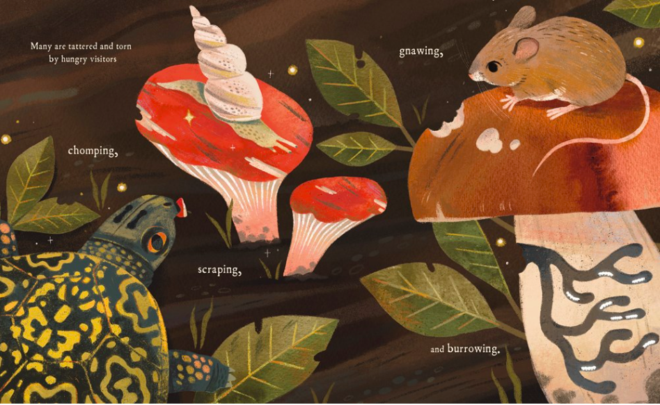 celebrate-pciture-books-picture-book-review-mushroom-rain-animals-eating