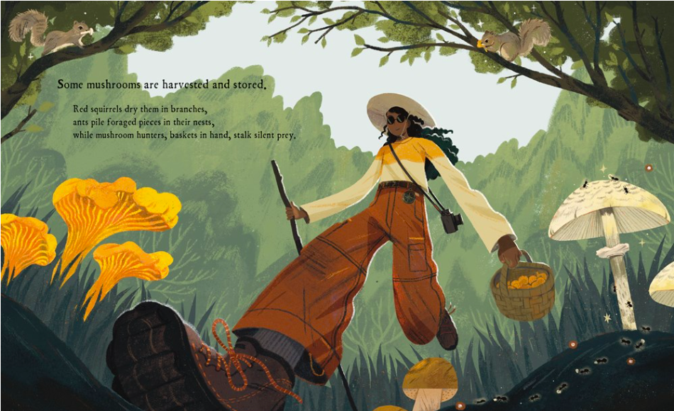 celebrate-pciture-books-picture-book-review-mushroom-rain-mushroom-hunter