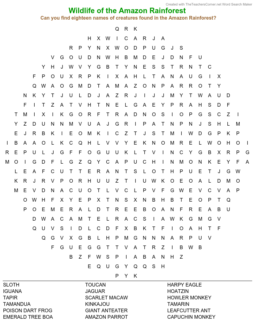 celebrate-picture-books-picture-book-review-amazon-rainforest-wordsearch-puzzle