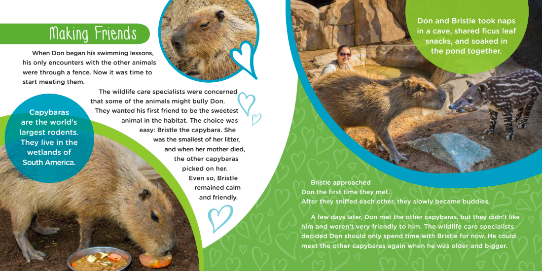 celebrate-picture-books-picture-book-review-raising-don-making-friends