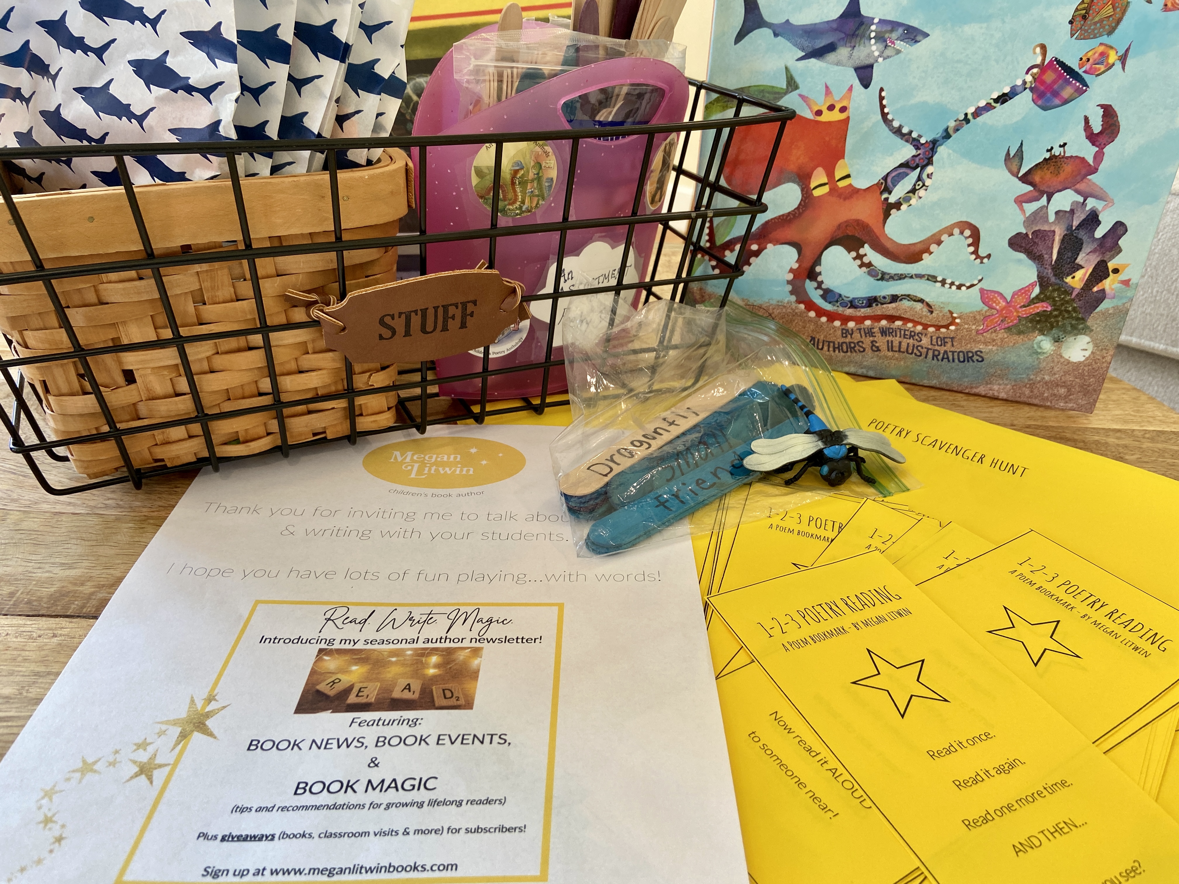 celebrate-picture-books-picture-book-review-megan-liwin-school-visit-basket