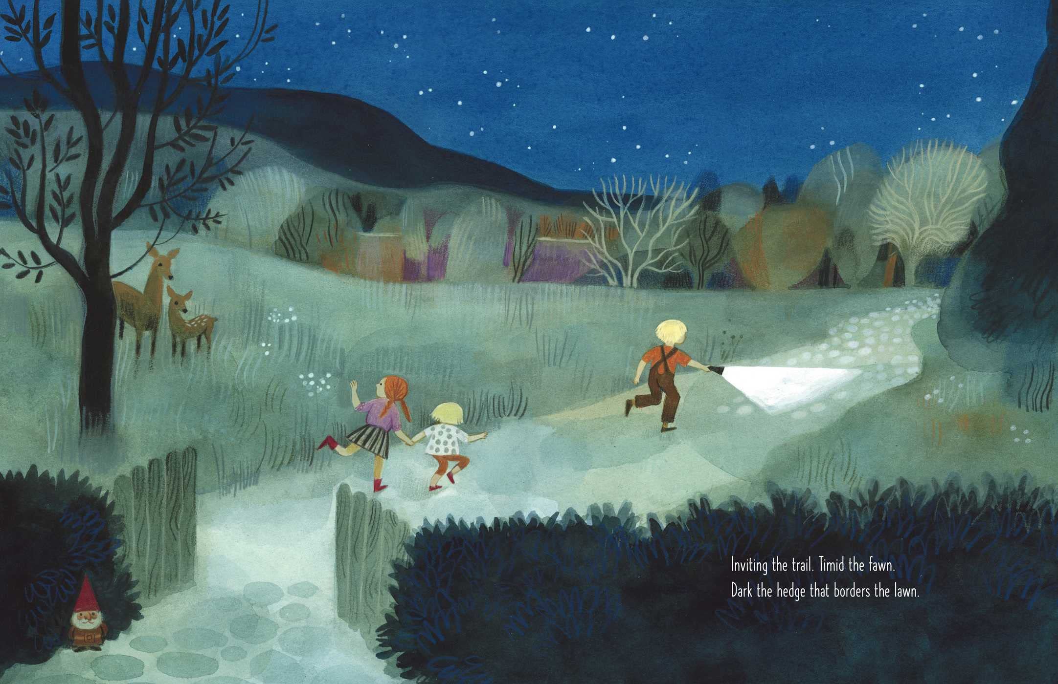 celebrate-picture-books-picture-book-review-dark-on-light-trail