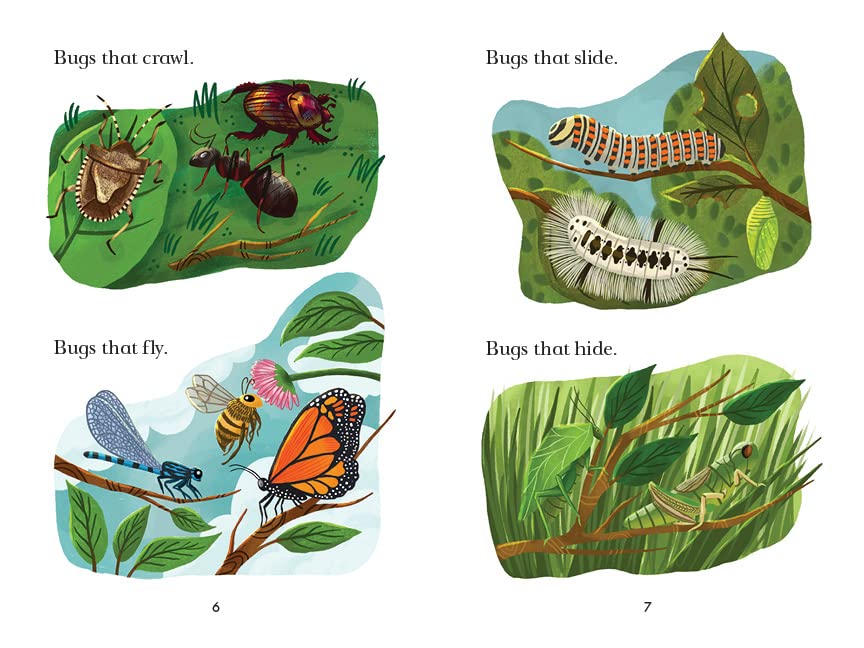 celebrate-picture-books-picture-book-review-dirt-and-bugsy-bug-catchers-different-bugs