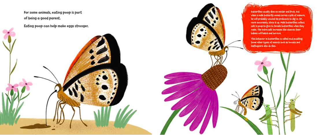 celebrate-picture-books-picture-book-review-poop-for-breakfast-butterflies