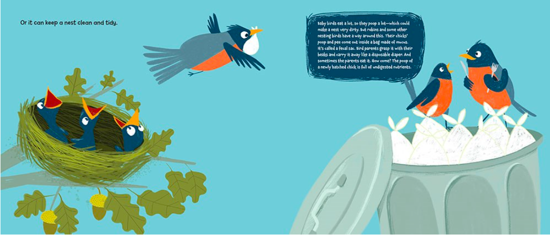 celebrate-picture-books-picture-book-review-poop-for-breakfast-robins