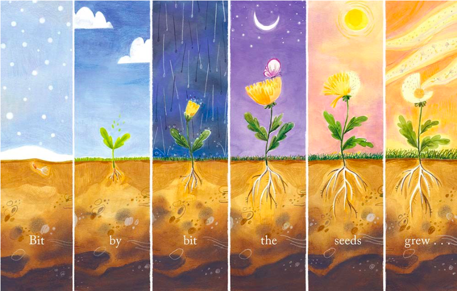 celebrate-picture-books-picture-book-review-tiny-wonders-growing