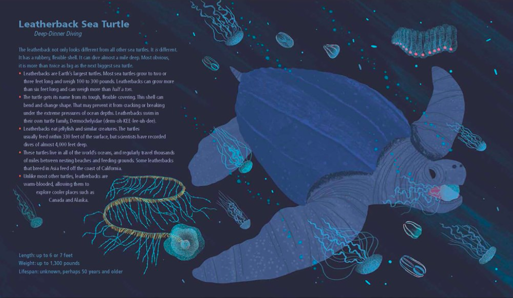 celebrate-pictrure-books-picture-book-review-like-no-other-leatherback-sea-turtle