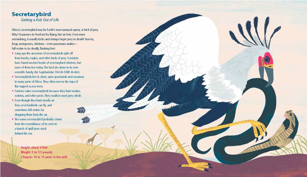 celebrate-pictrure-books-picture-book-review-like-no-other-secretarybird