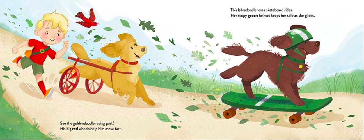 celebrate-picture-books-picture-book-review-oodles-of-poodles-and-doodles-goldendoodle