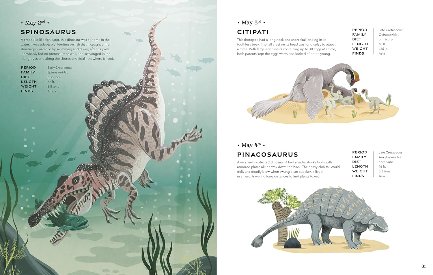 celebrate-picture-books-picture-book-review-a-dinosaur-a-day-may