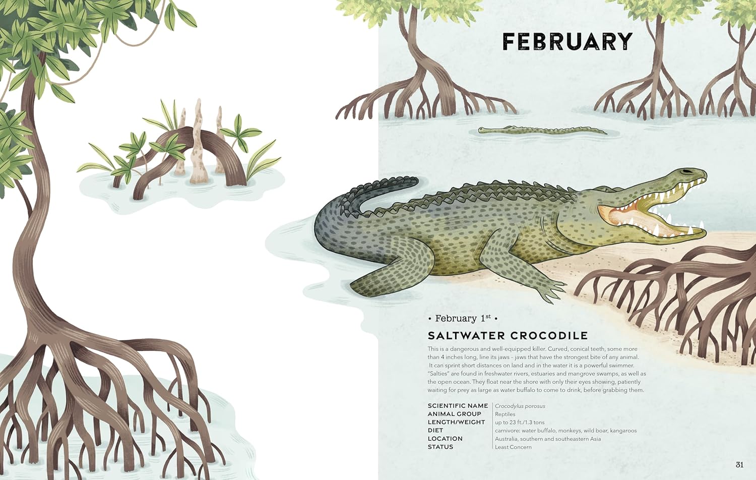 celebrate-picture-books-picture-book-review-an-animal-a-day-february