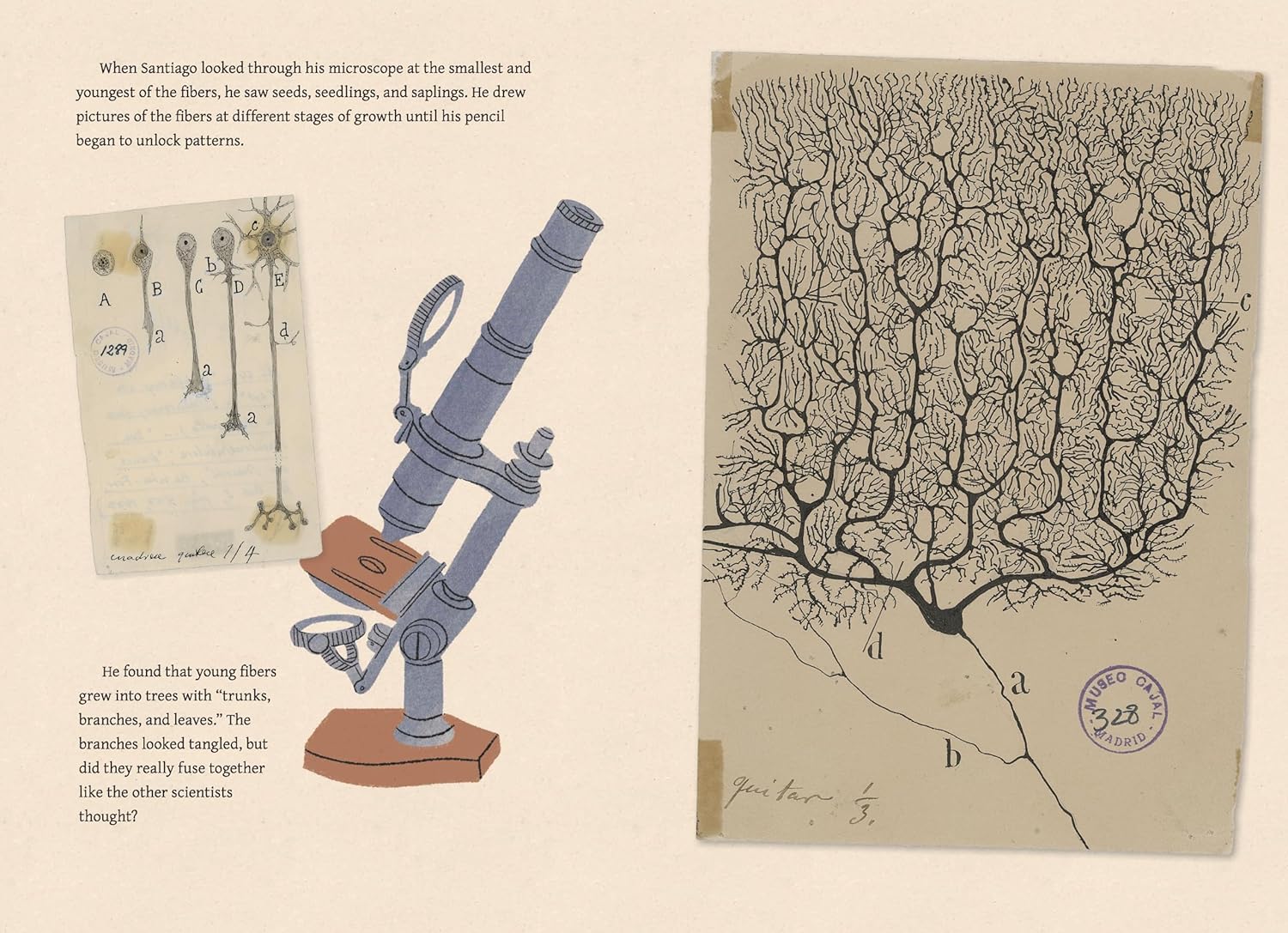celebrate-picture-books-picture-book-review-santiago-saw-things-differently-microscope-view