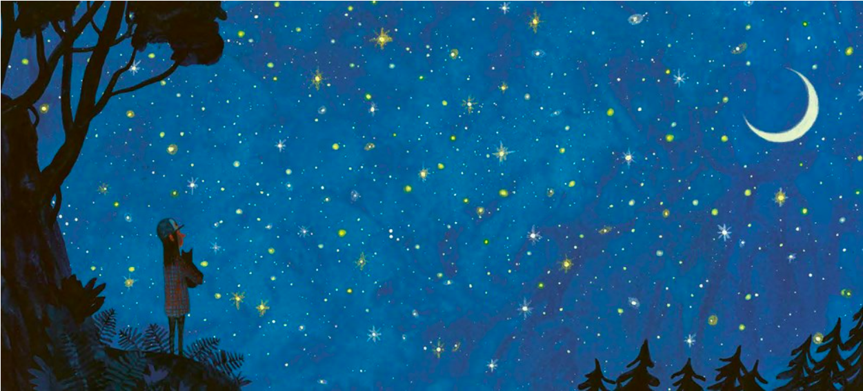 celebrate-picture-books-picture-book-review-the-cat-way-night-sky