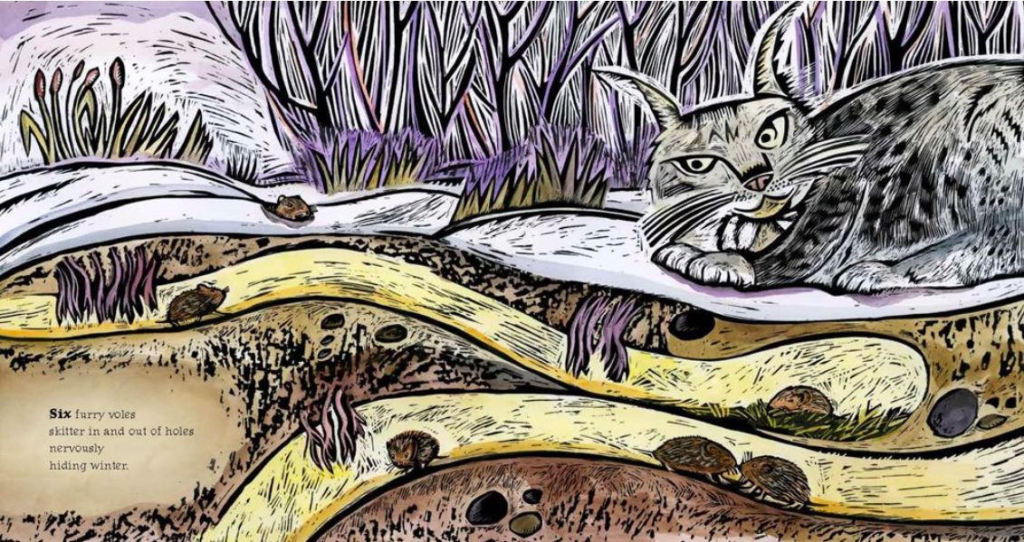 celebrate-picture-books-picture-book-review-counting-winter-voles