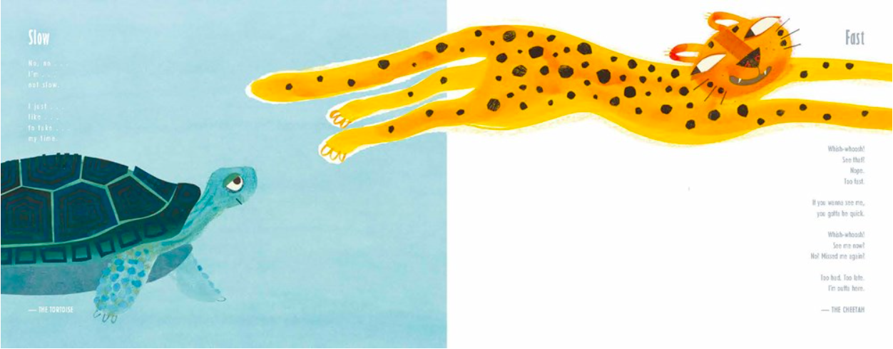 celebrate-picture-books-picture-book-review-fast-cheetah-slow-tortoise-tortoise-and-cheetah